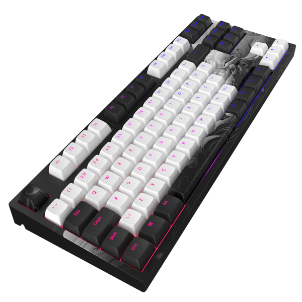 Dark Project DPP87_GSH_INK_ANSI_EN, Wired, USB, Gaming Keyboard, White/Black