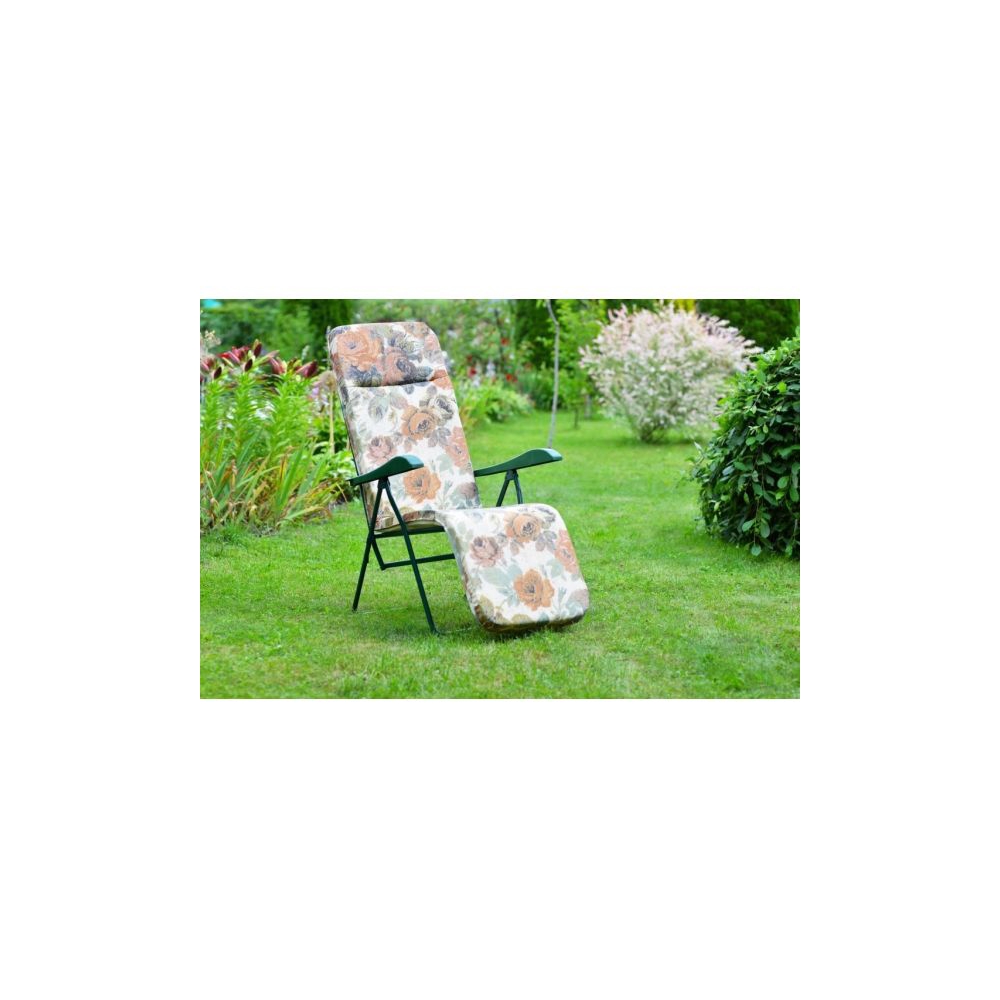 სკამი Olsa c212/49 Alberto-2, Chair, Green