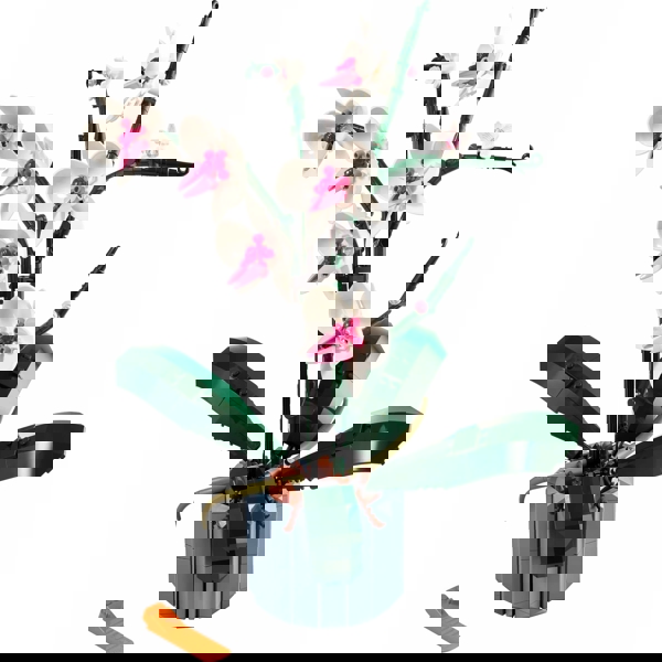 ასაწყობი კონსტრუქცია Lego 10311-, Icons Orchid
