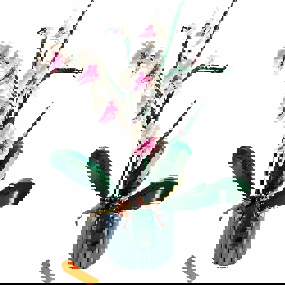  Lego 10311-, Icons Orchid