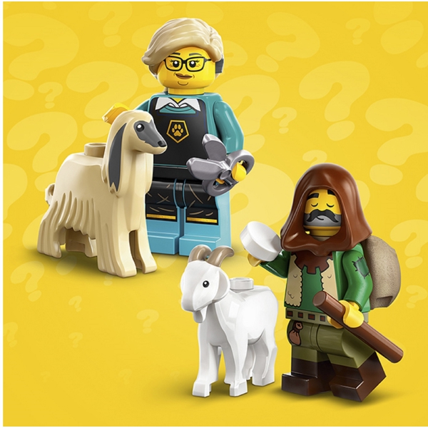 Lego 71045, Constructor Minifigures