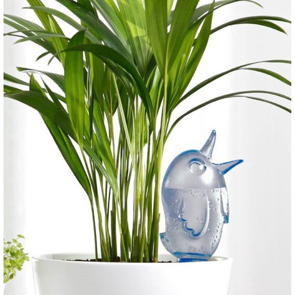 Scheurich 110/16 BOERDY, 0.09l, Autowatering, Blue