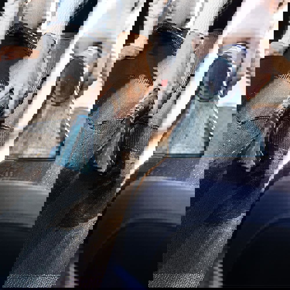 Multiple Spot Cleaner Cecotec 5082 Conga 3000 CarpetClean, 400W, Black