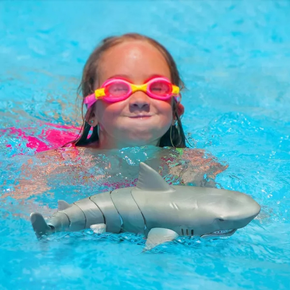 Shark Terra AN2855, Grey