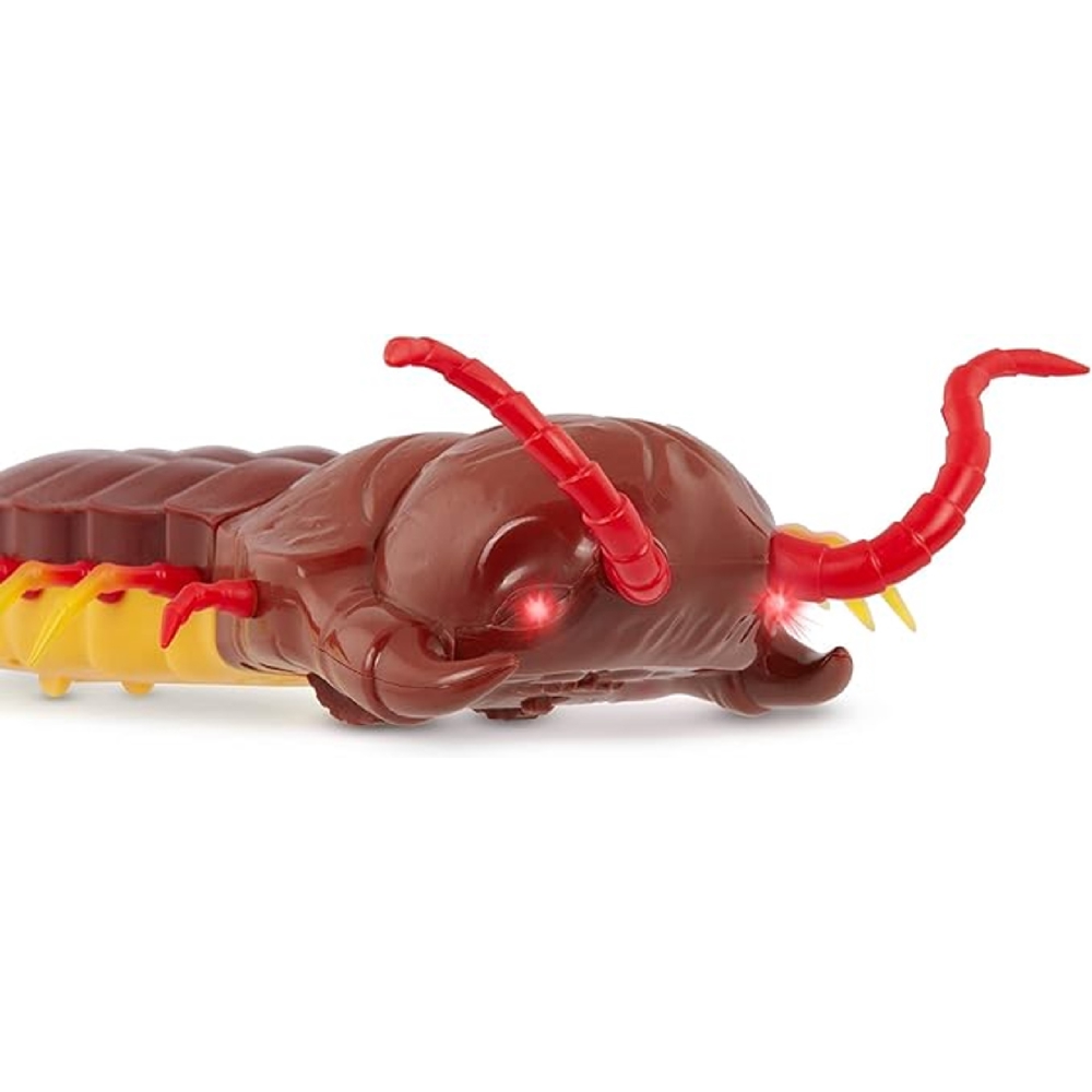 Centipede Terra AN2867Z, Brown