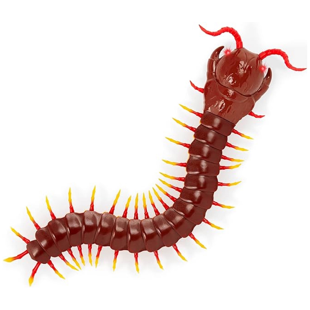 Centipede Terra AN2867Z, Brown