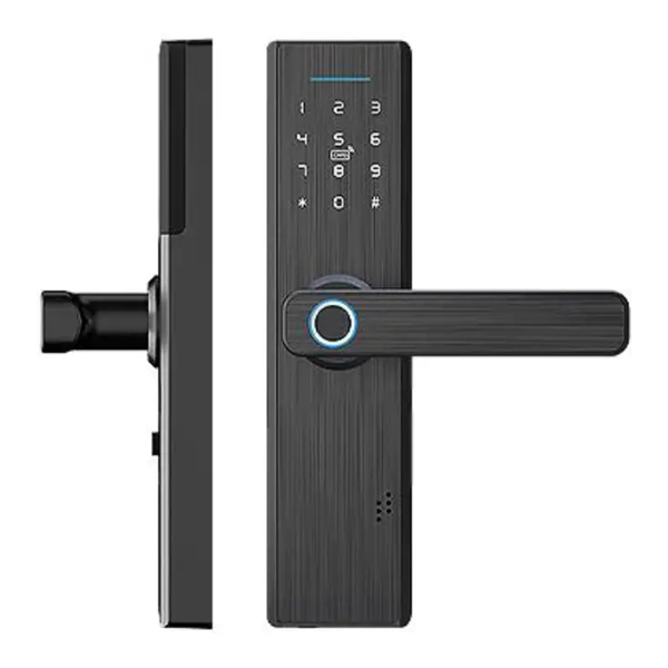 კარის ჭკვიანი საკეტი Moes WDL-X1-MS, Smart Door Lock, Black