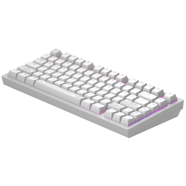 კლავიატურა Dark Project ALU81A Terra Nostra, Wired, RGB, USB, Gaming Keyboard, White