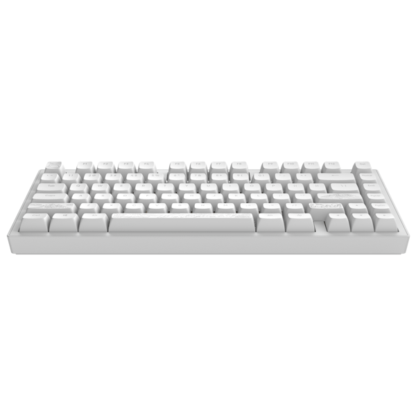 კლავიატურა Dark Project ALU81A Terra Nostra, Wired, RGB, USB, Gaming Keyboard, White