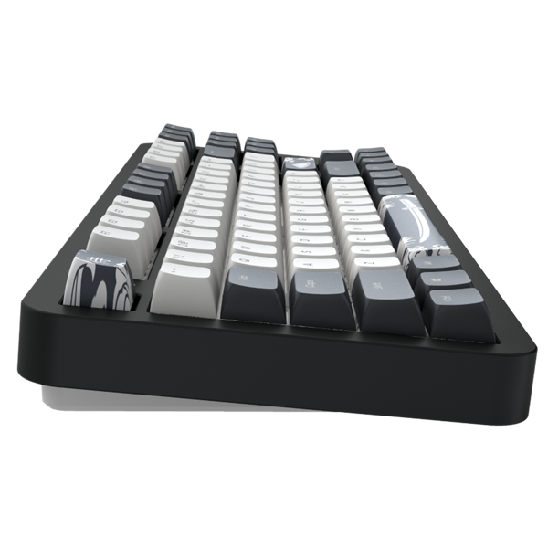 კლავიატურა Dark Project ALU87B Bushido, Wired, RGB, USB-C, Gaming Keyboard, Black/White