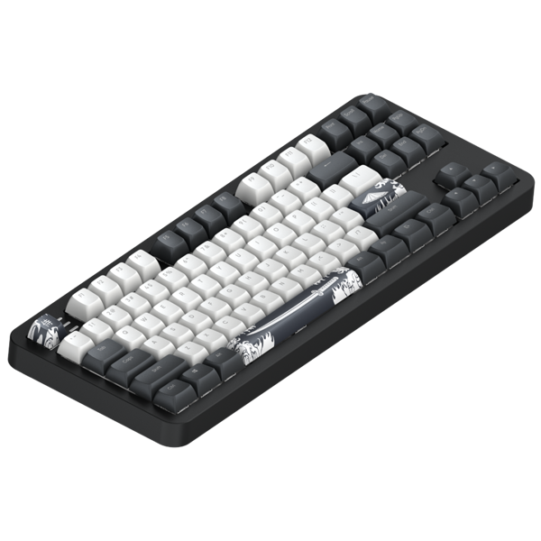 კლავიატურა Dark Project ALU87B Bushido, Wired, RGB, USB-C, Gaming Keyboard, Black/White