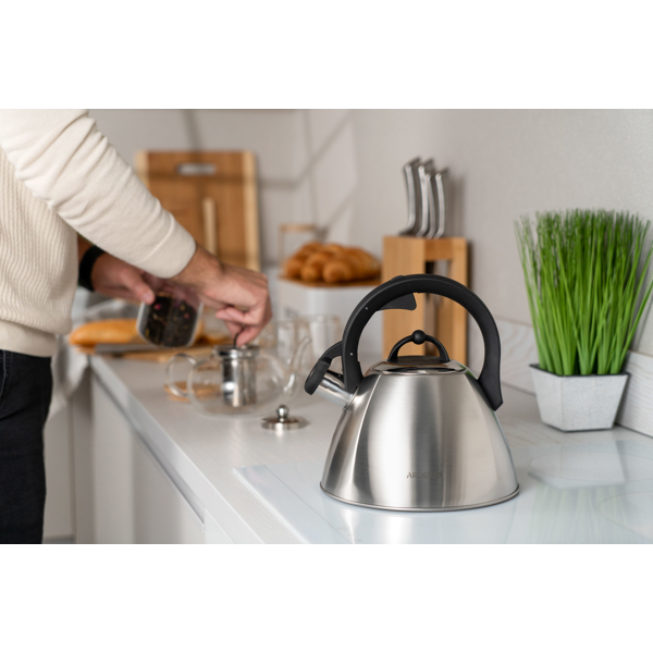 Kettle, Ardesto AR1948KS Gemini, 2.5l,  Stainless Steel