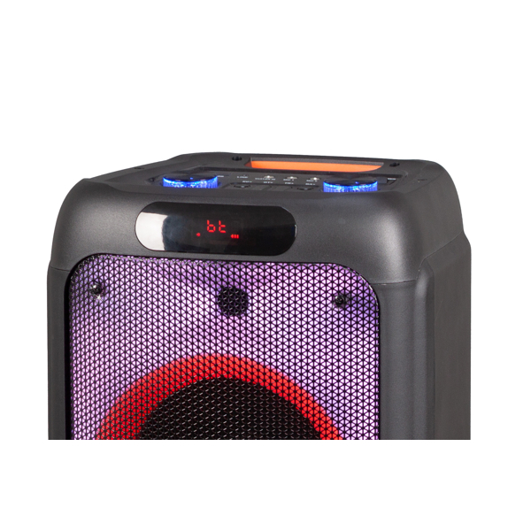 Speaker, Damasco DMCLY-DS8B, 100W, Bluetooth, USB, TF card, AUX, Black