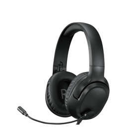 ყურსასმენი Lenovo GXD1P46879 H110, Gaming Headset, Wired, 3.5mm, Black