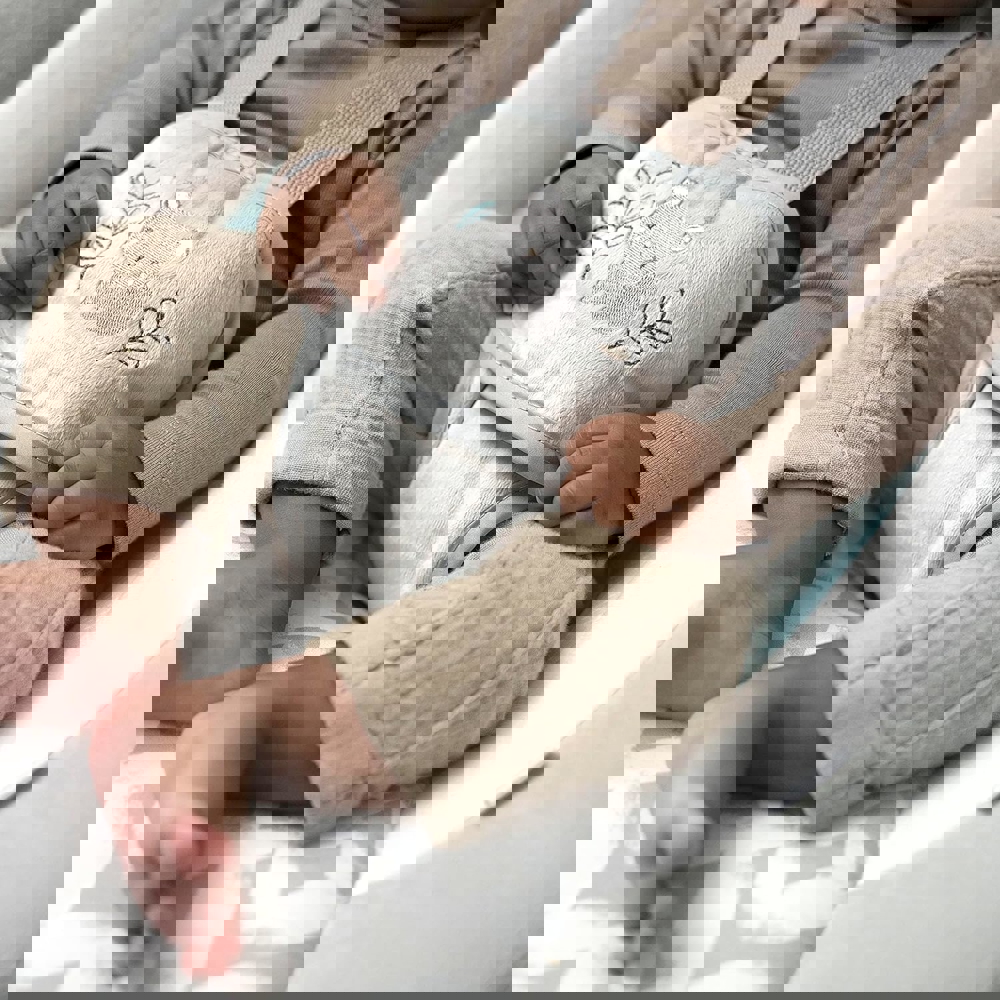 ბაუნსერი Ingenuity 11306, 0-12M, Bouncer, Gray