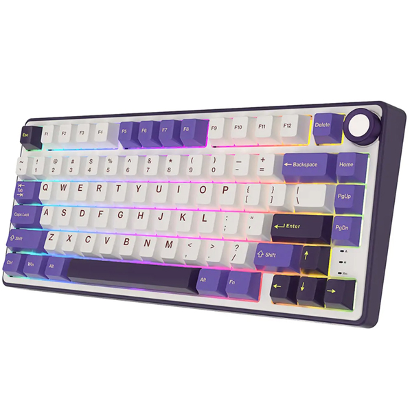 Mechanical Keyboard Royal Kludge RK R75 RGB, Brown switch, Hot Swappable, Hot Swappable, Type-C wired, Blackberry