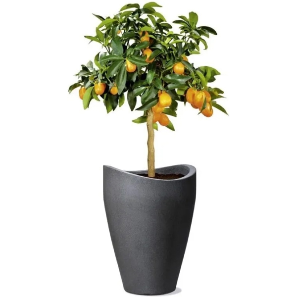 Flower Pot Scheurich 40/254 SCHWARZ GRANIT HOCHGEFAESS, 16L, Grey