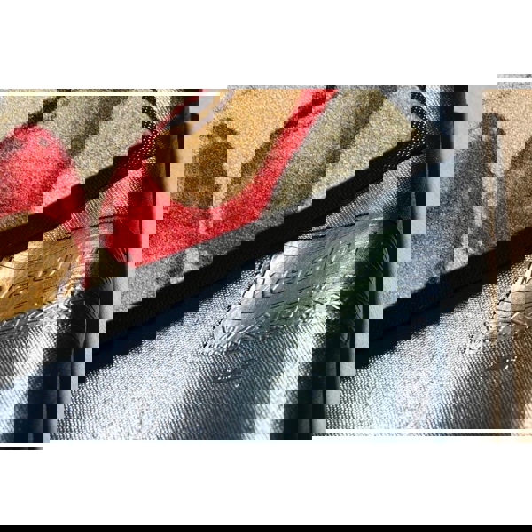 Doormat OEM MHPDES507510F0000N Shoes welcome, 50x75cm, Multicolored