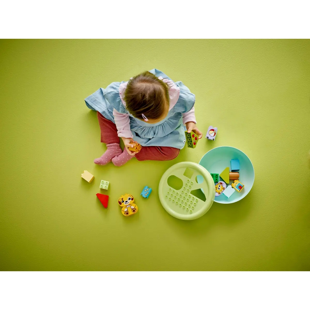 Prefabricated Construction Lego 10441 DUPLO My First Shape Sorter: Puppy House