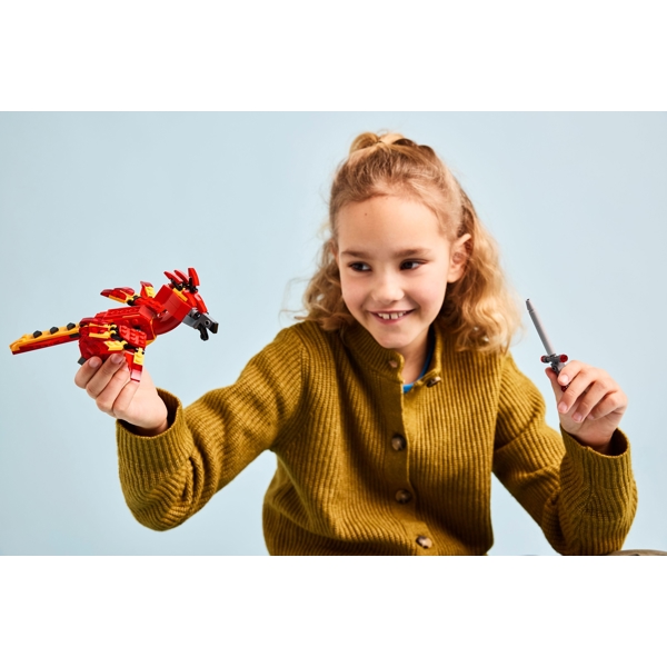 ასაწყობი კონსტრუქცია Lego 76448, Fawkes: Dumbledore's Phoenix, Prefabricated Construction