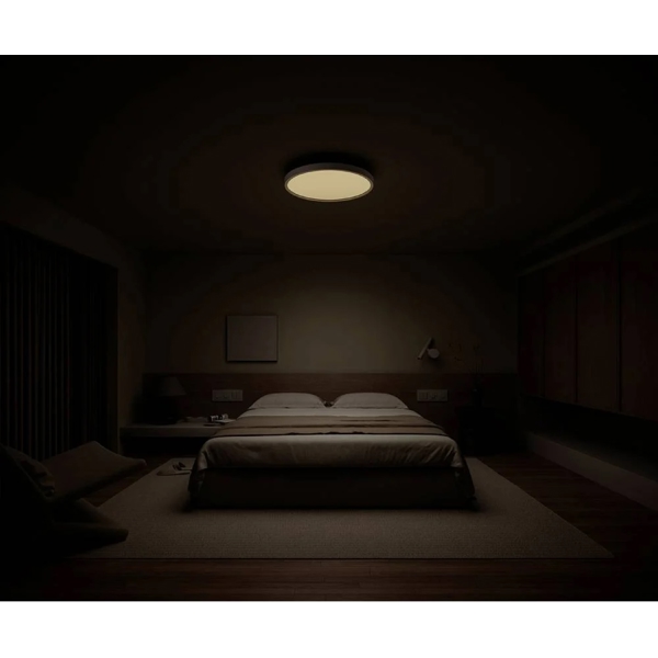 ჭკვიანი სანათი Xiaomi X62935 Smart Ceiling Light D30, White