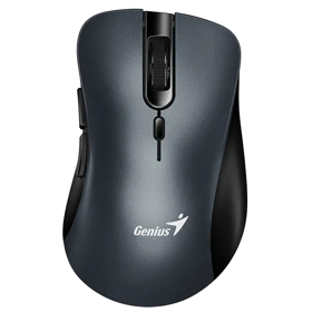 Mouse Genius Ergo 8100S, Wireless, USB, Iron Grey