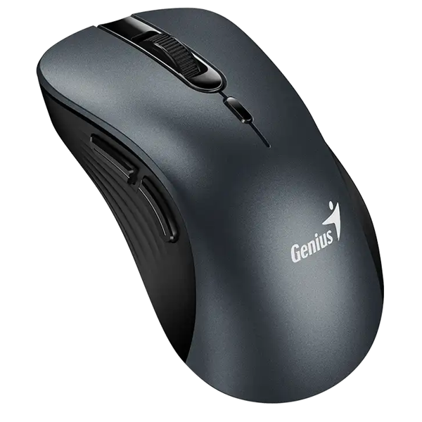 Mouse Genius Ergo 8100S, Wireless, USB, Iron Grey