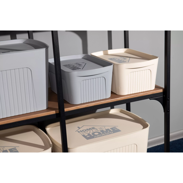 Storage Box With Lid Ardesto Storage ARHC2506G, 6L, Grey