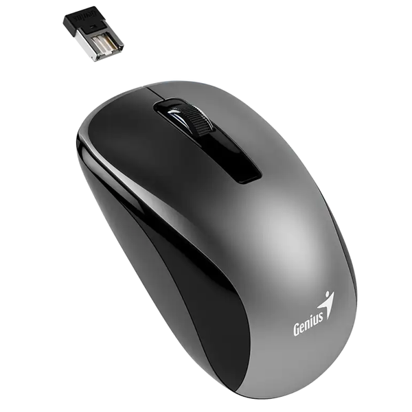 Mouse Genius NX-7010, Wireless, USB, Gray