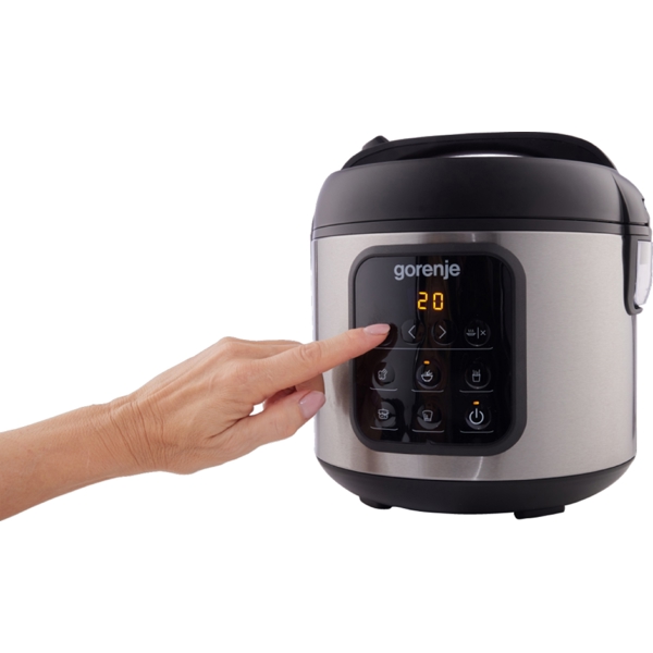 Multifunction Cooker Gorenje MC2SBK, 476W, Silver