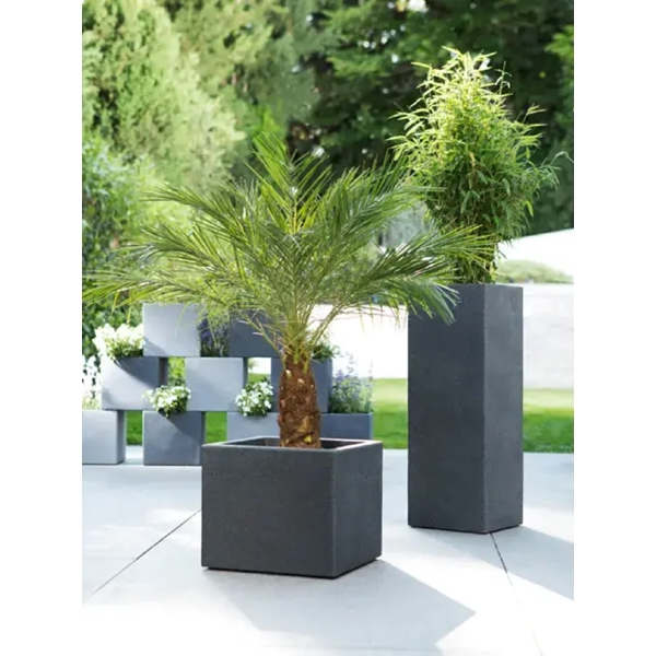 ყვავილის ქოთანი Scheurich 70/240 C-CUBE HIGH, Flower Pot, Grey
