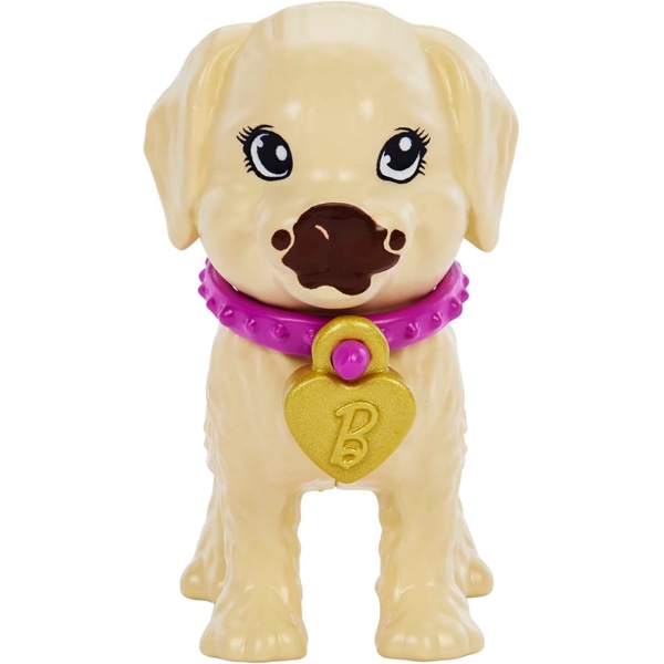 MATTEL HKD86 Barbie Adopt-a-Pup Playset - Latina