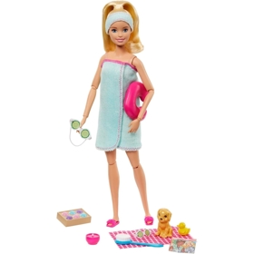 Barbie Wellness Dolls Asst (3) Mattel GKH73