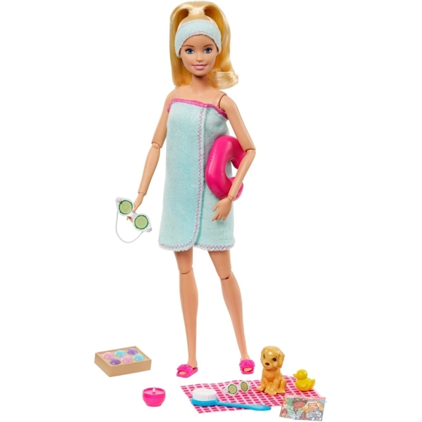 Barbie Wellness Dolls Asst (3) Mattel GKH73