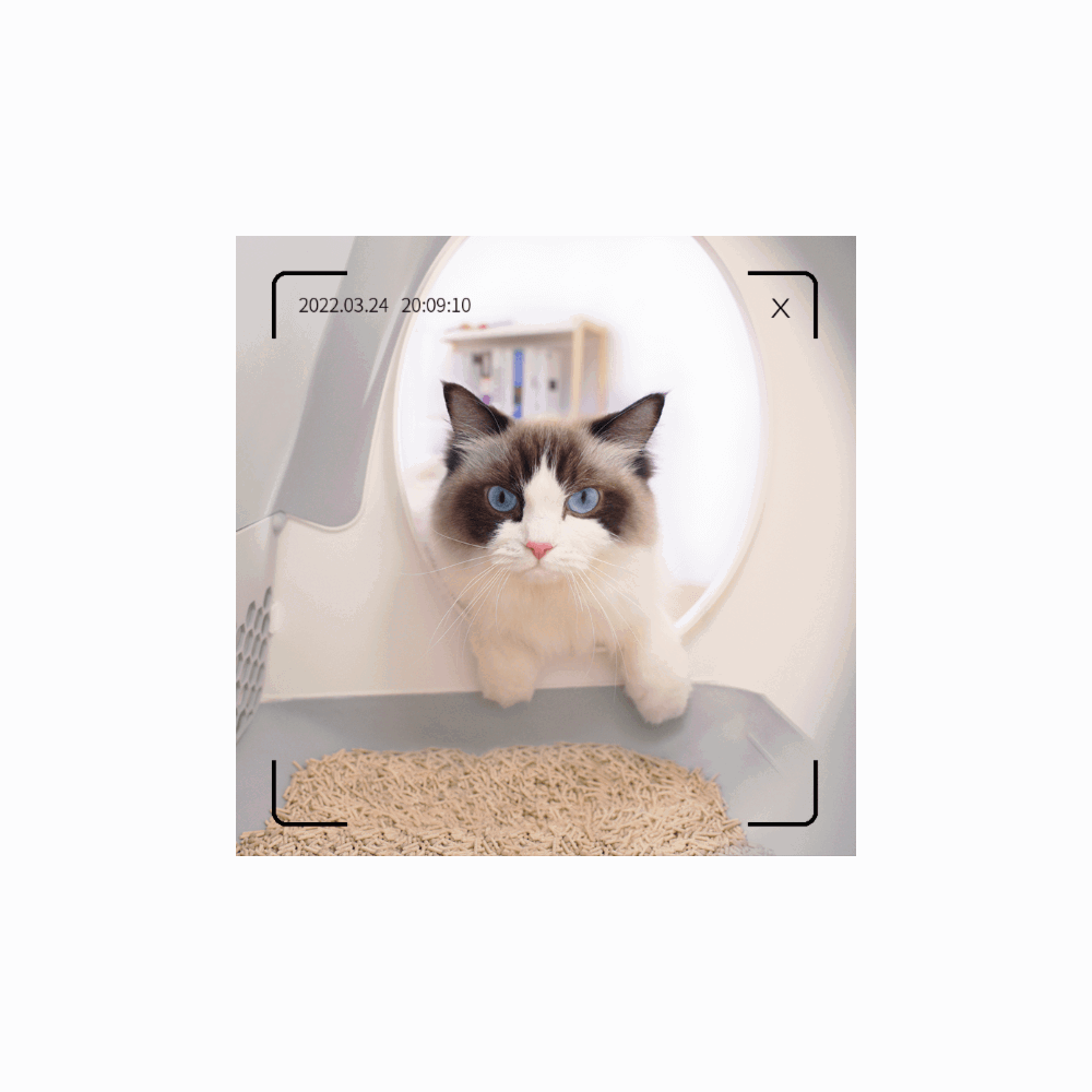 კატის ჭკვიანი სახლი UBTech UCAT C10 PRO, Smart Cat Litter Box, White