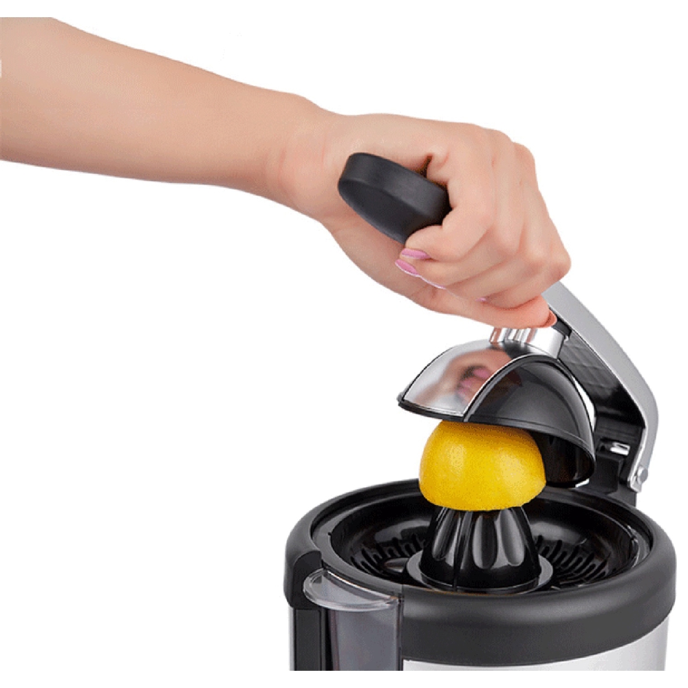 Juicer Arnica IH37200, 160W, 500ML, Silver