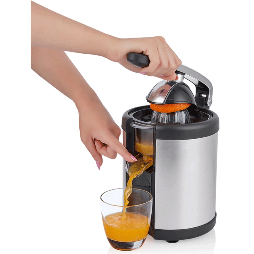 Juicer Arnica IH37200, 160W, 500ML, Silver