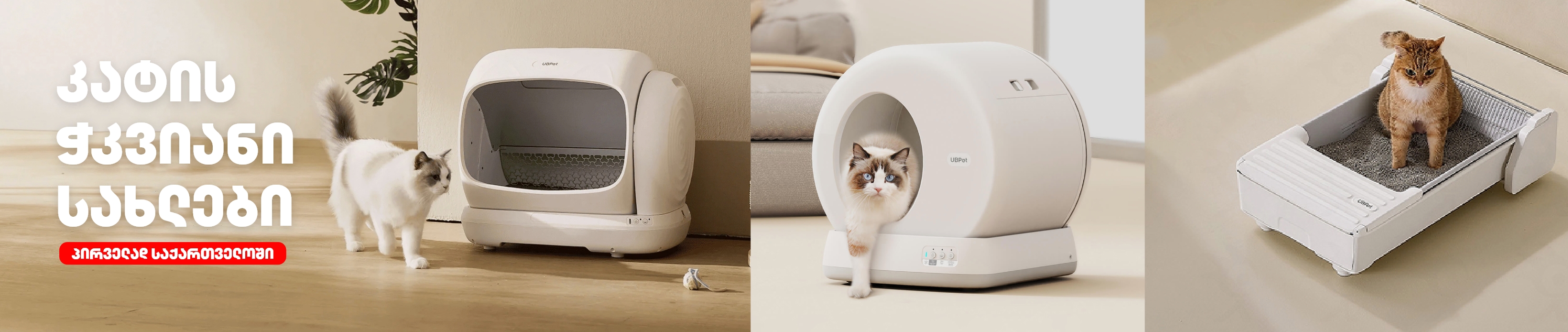 კატის ჭკვიანი სახლები