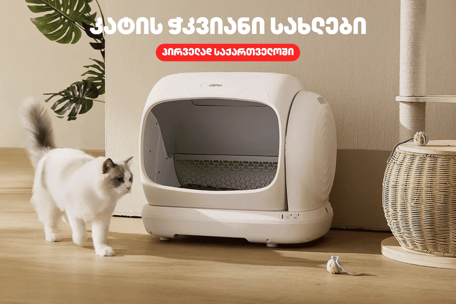 კატის ჭკვიანი სახლები