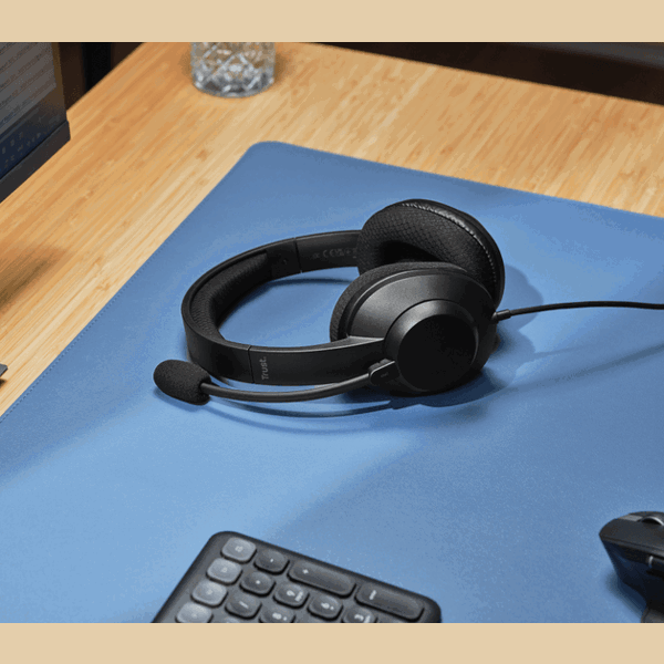 Headset Trust 25462 AYDA MAX, Wired, USB-C, USB, Black