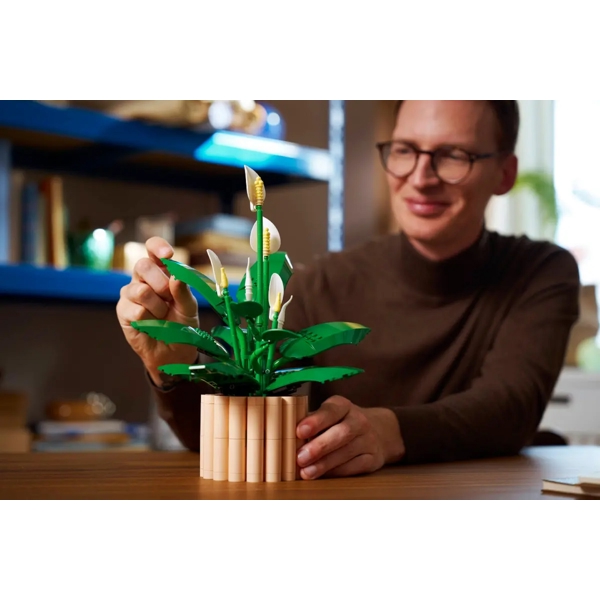 ასაწყობი კონსტრუქცია Lego 11504 The Botanical Collection Peace Lily, Prefabricated Construction