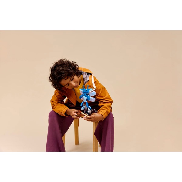 ასაწყობი კონსტრუქცია Lego 76461- Harry Potter Cornish Pixie, Prefabricated Construction