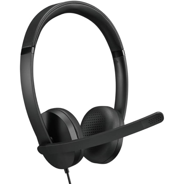 ყურსასმენი Lenovo 4XD1P83425, Headset, Wired, USB, Black