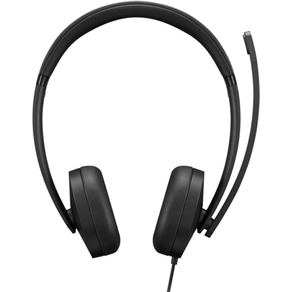 ყურსასმენი Lenovo 4XD1P83425, Headset, Wired, USB, Black
