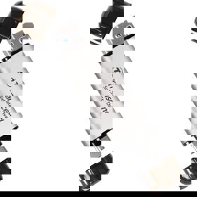 External SSD Transcend TS512GESD310S ESD310, 512GB, Type-C/A, Silver