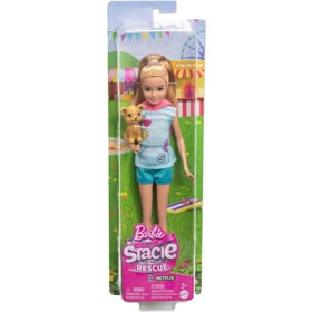 ბარბის თოჯინა Mattel HRM05 Barbie Stacie Core Doll