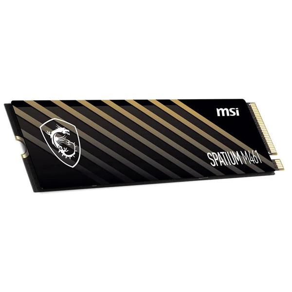 Internal Hard Drive MSI S78-440Q550-P83 SPATIUM M461, 2TB, M.2