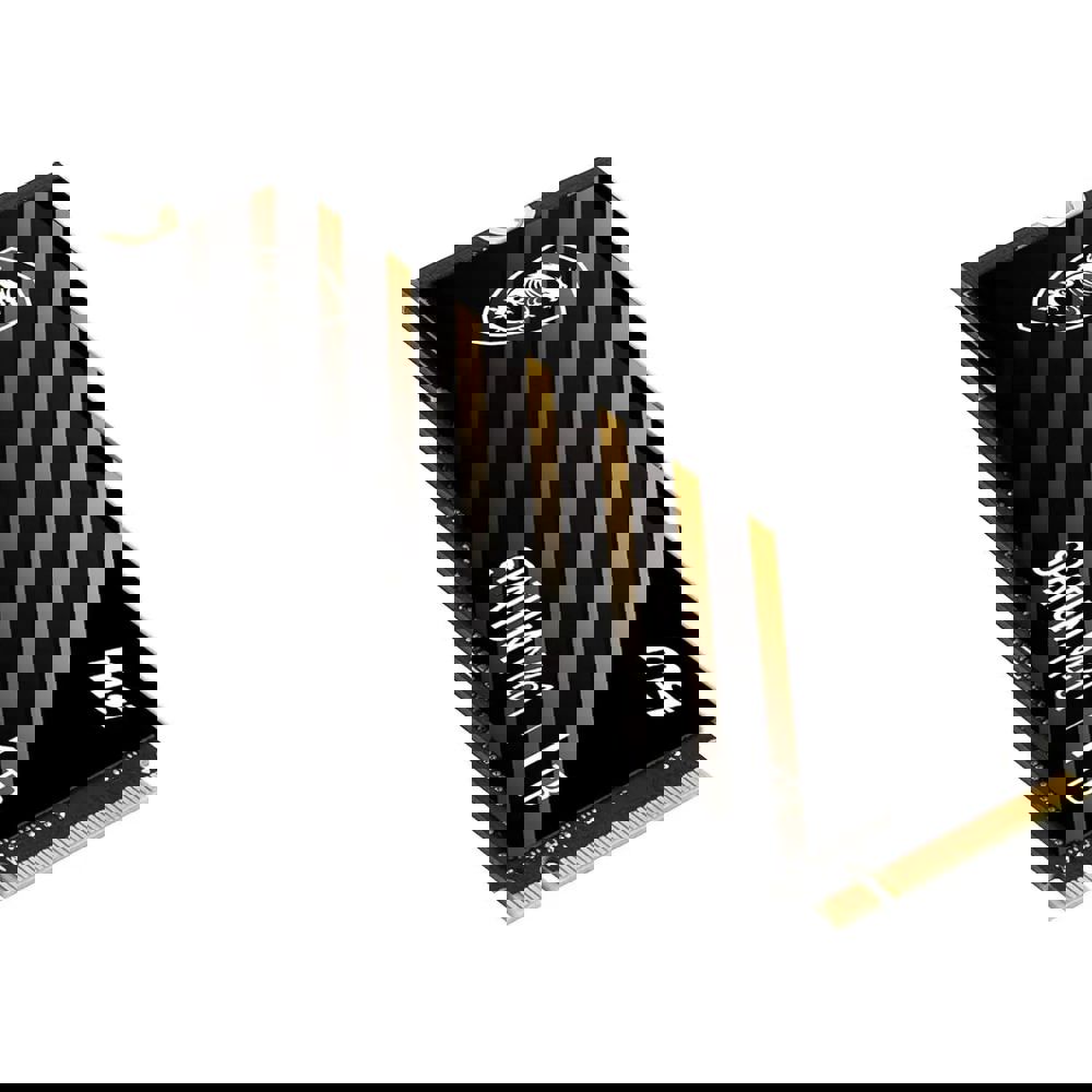 Internal Hard Drive MSI S78-440L1D0-P83 SPATIUM M461, 1TB, M.2