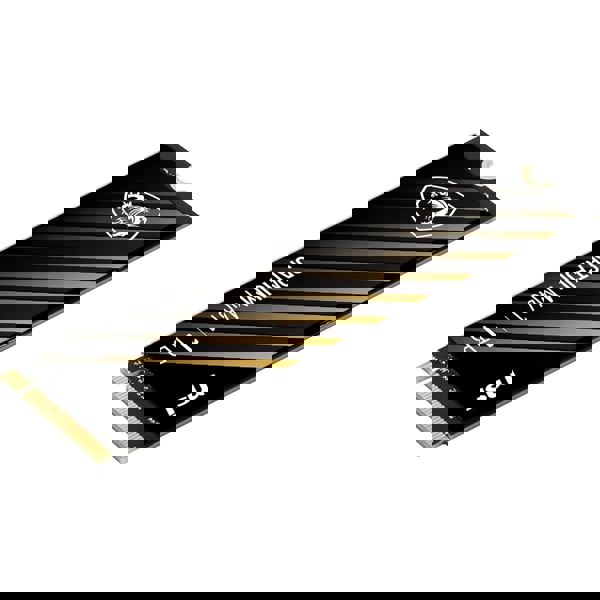 Internal Hard Drive MSI S78-440L1D0-P83 SPATIUM M461, 1TB, M.2