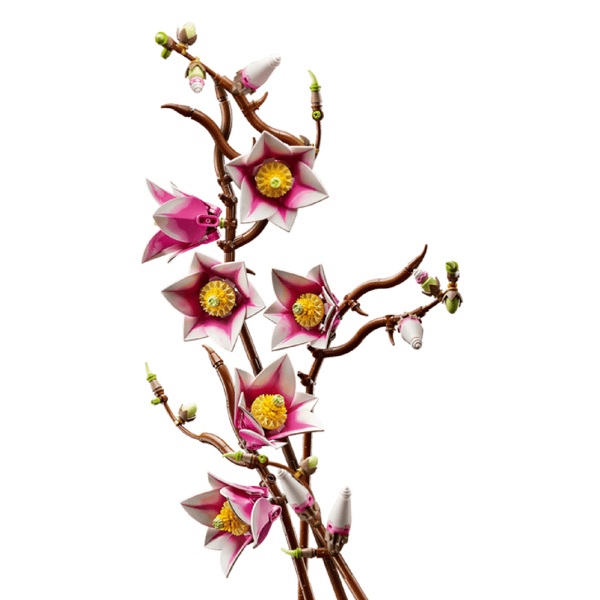 ასაწყობი კონსტრუქცია Lego 11510 Botanicals, Magnolia Branches, Prefabricated Construction
